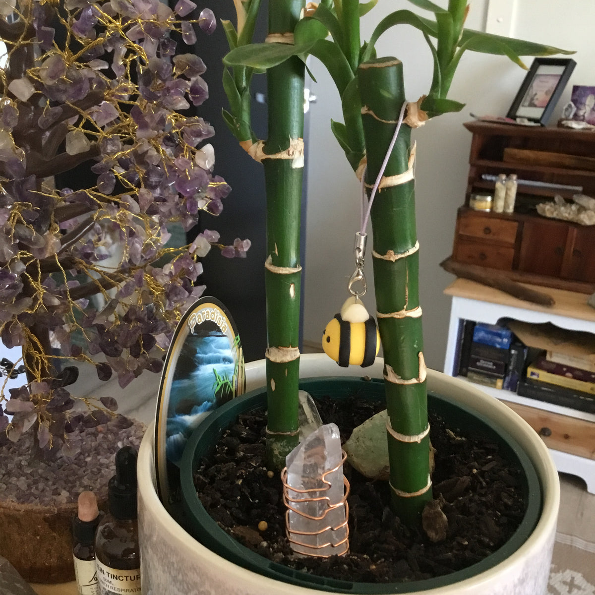 Electroculture - copper & Quartz house plant energy enhancer
