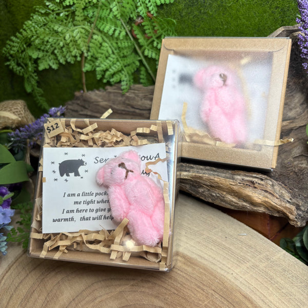 Fairy Leonie's STRESS & ANXIETY Baby Bear Hug in a Box