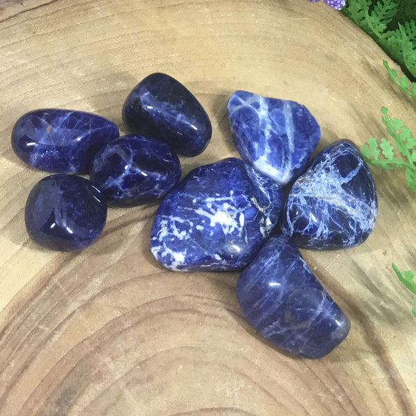 CRYSTALS FOR CONFIDENCE & COURAGE Sodalite Tumbles