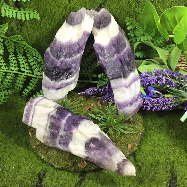UNEARTHED TREASURE chevron amethyst natural medium wands