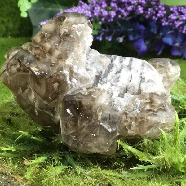 UNEARTHED TREASURE Smoky Elestial Specimen #6