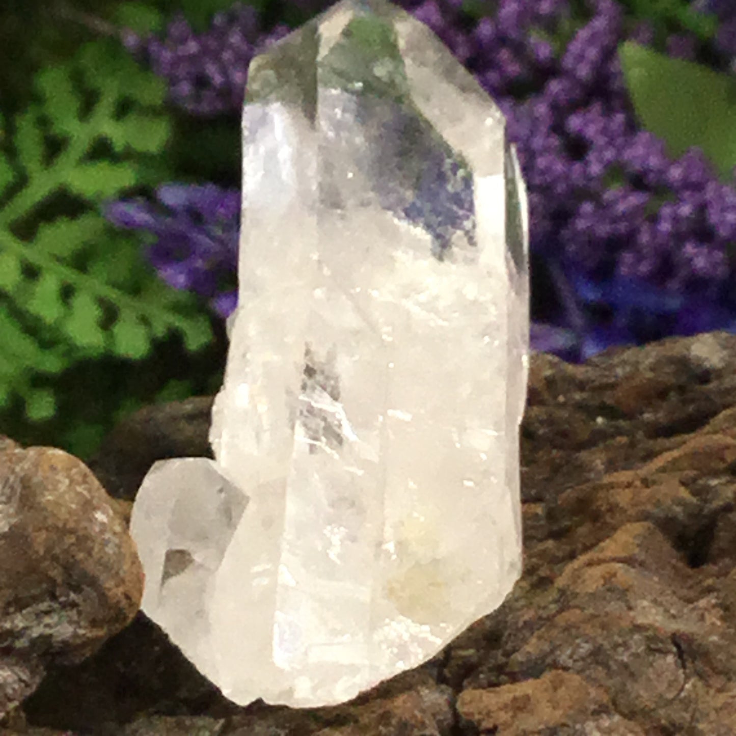 UNEARTHED TREASURE. Clear Quartz Natural Point Crystal 003