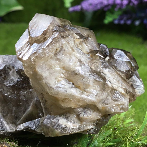 UNEARTHED TREASURE Smoky Elestial Specimen #6