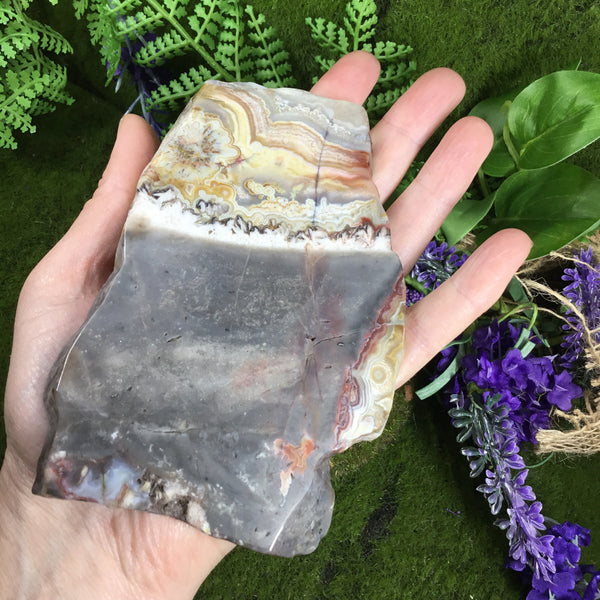 UNEARTHED TREASURE- Mexican Crazy lace Agate Altar Slice