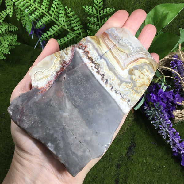 UNEARTHED TREASURE- Mexican Crazy lace Agate Altar Slice