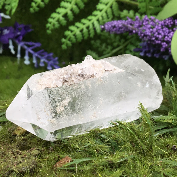 UNEARTHED TREASURE- Barnacle Quartz Natural Point