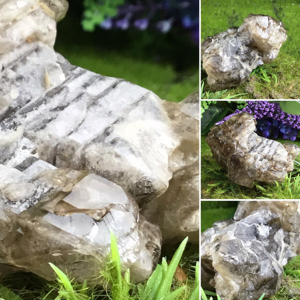 UNEARTHED TREASURE Smoky Elestial Specimen #6