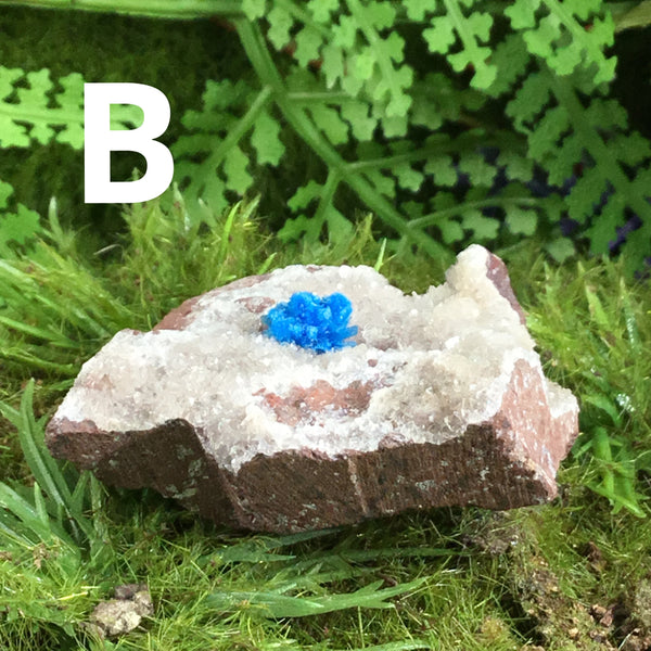 canvansite on matrix specimen B