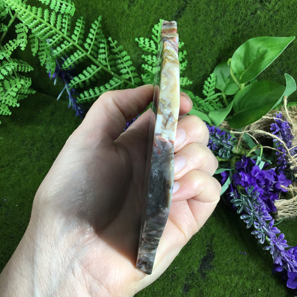 UNEARTHED TREASURE- Mexican Crazy lace Agate Altar Slice