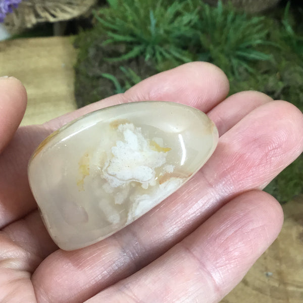 Crystals for New Beginnings . Flower agate tumble