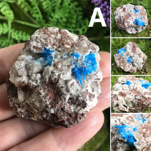 canvansite on matrix specimen A multiple views