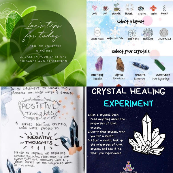 CLEANSE & PURIFY- sweetgrass braid smudge grass