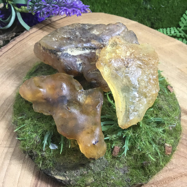 UNEARTHED TREASURE- Raw Amber Chunks