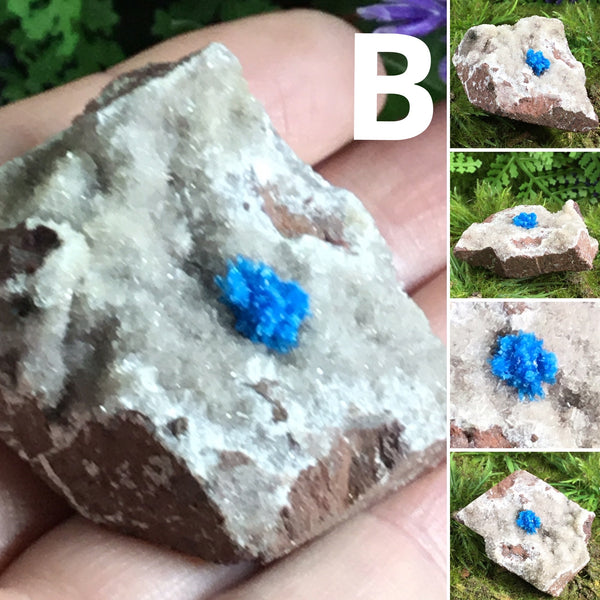canvansite on matrix specimen B multiple views