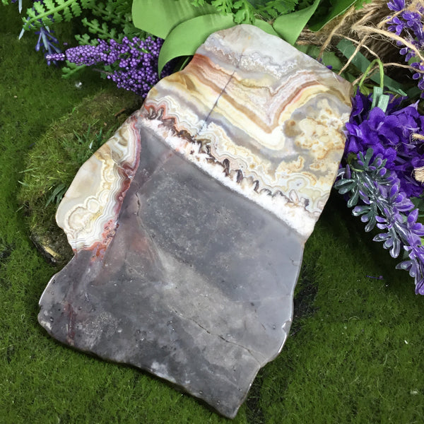 UNEARTHED TREASURE- Mexican Crazy lace Agate Altar Slice