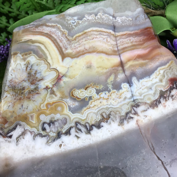 UNEARTHED TREASURE- Mexican Crazy lace Agate Altar Slice