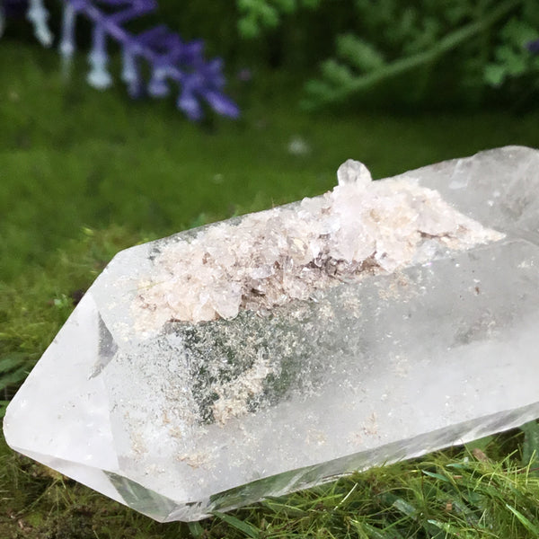 UNEARTHED TREASURE- Barnacle Quartz Natural Point