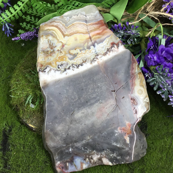 UNEARTHED TREASURE- Mexican Crazy lace Agate Altar Slice