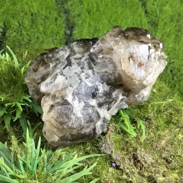 UNEARTHED TREASURE Smoky Elestial Specimen #6