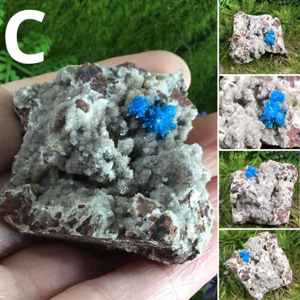 canvansite on matrix specimen C multiple views