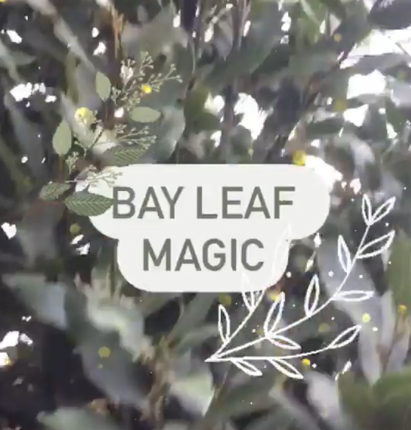 Bay Leaf Magic