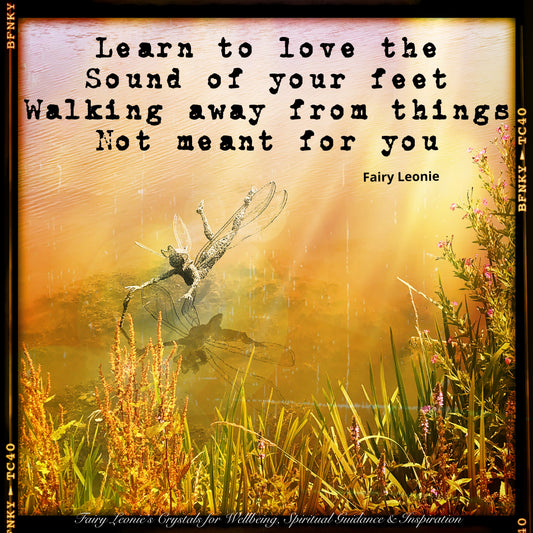 Fairy Leonie's Crystals top Empath Protection Tricks