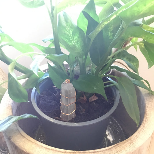 Electroculture - copper & Quartz  house plant energy enhancer