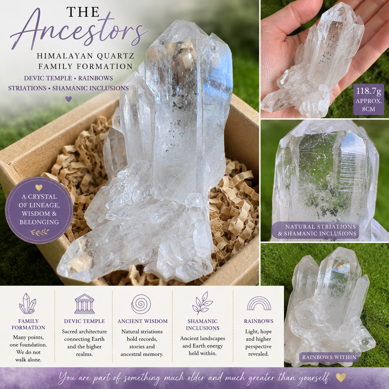 The Ancestors —Himalayan Devic Temple Quartz Family Formation