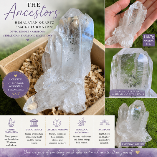 The Ancestors —Himalayan Devic Temple Quartz Family Formation