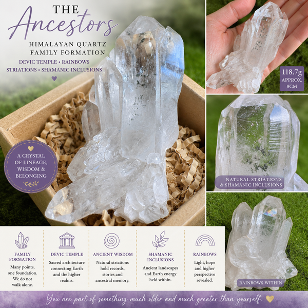 The Ancestors —Himalayan Devic Temple Quartz Family Formation