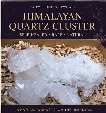 The Becoming | Himalayan Self-Healed Quartz Cluster | 177.5g