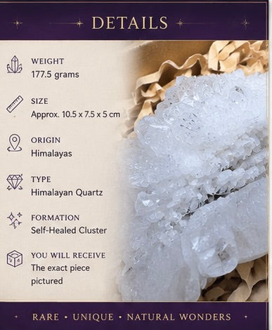 The Becoming | Himalayan Self-Healed Quartz Cluster | 177.5g