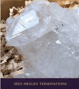 The Becoming | Himalayan Self-Healed Quartz Cluster | 177.5g