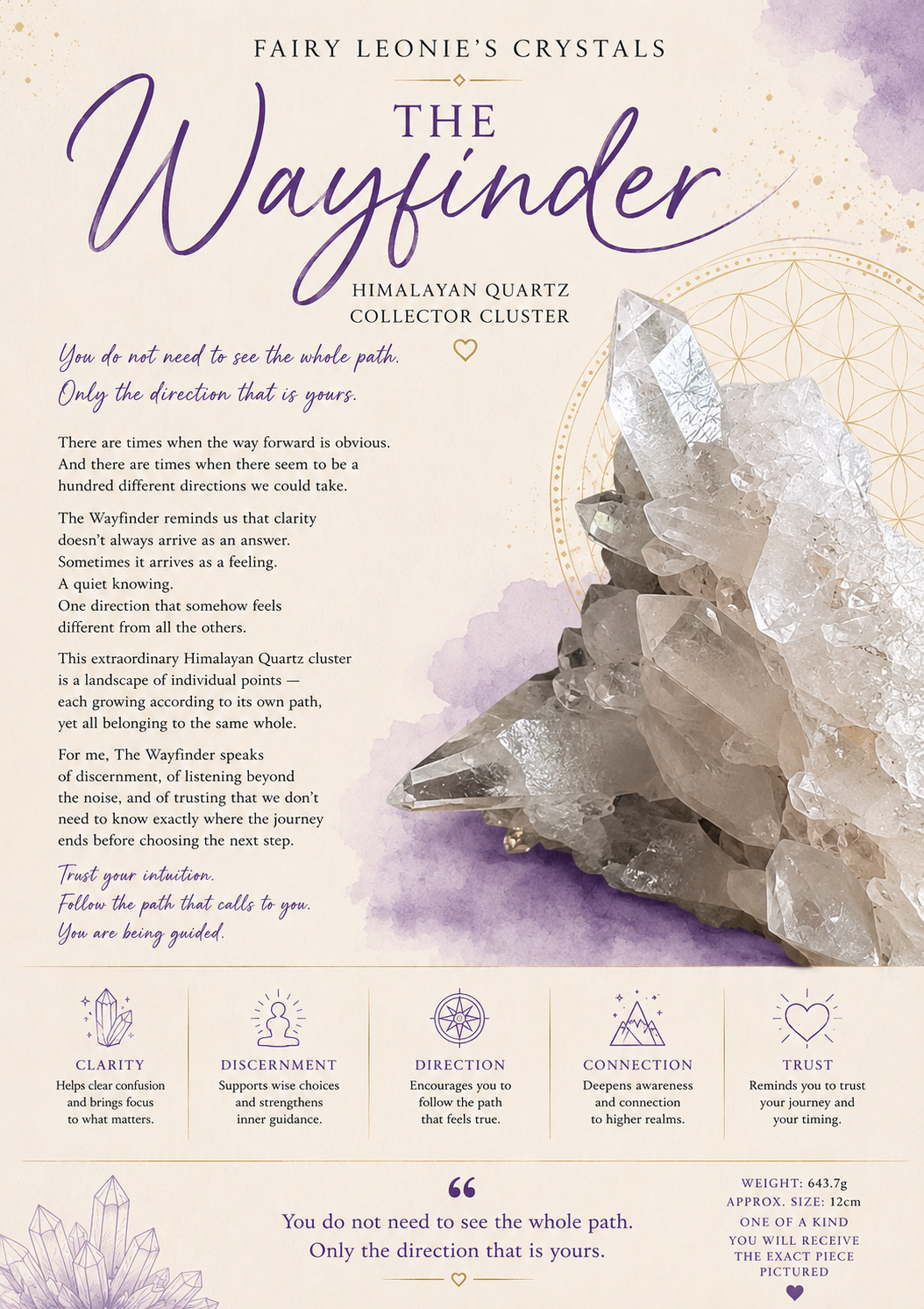 The Wayfinder | Himalayan Quartz Collector Cluster | 643.7g
