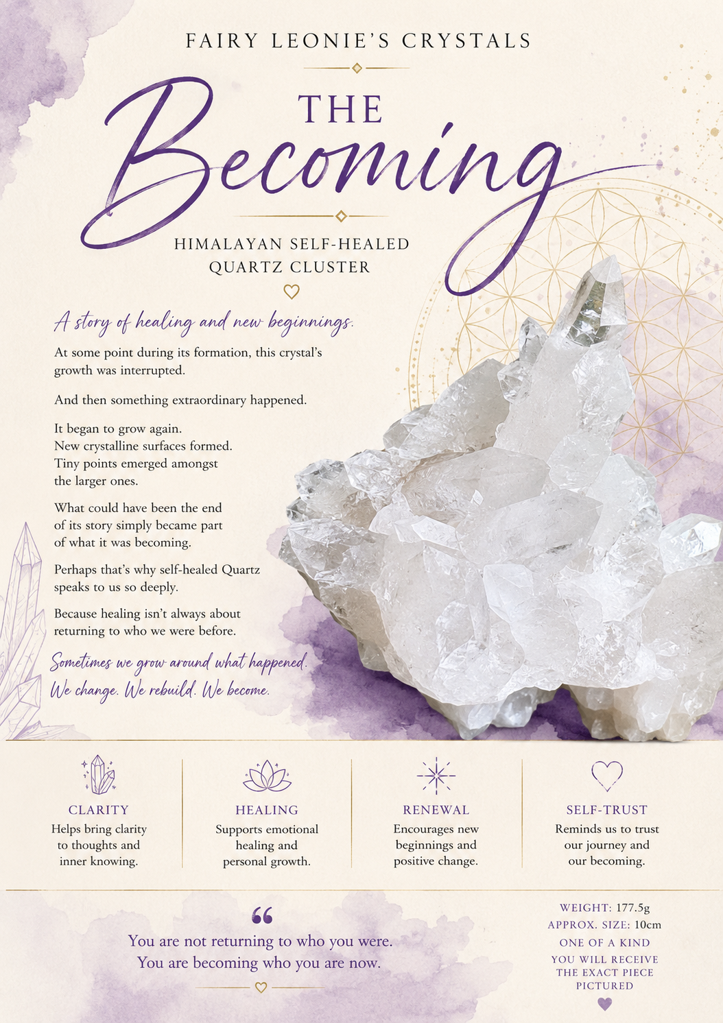 The Becoming | Himalayan Self-Healed Quartz Cluster | 177.5g