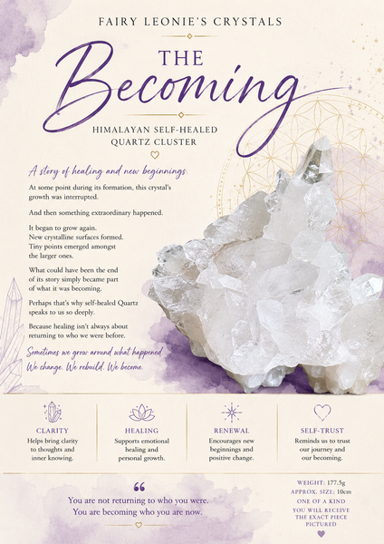 The Becoming | Himalayan Self-Healed Quartz Cluster | 177.5g