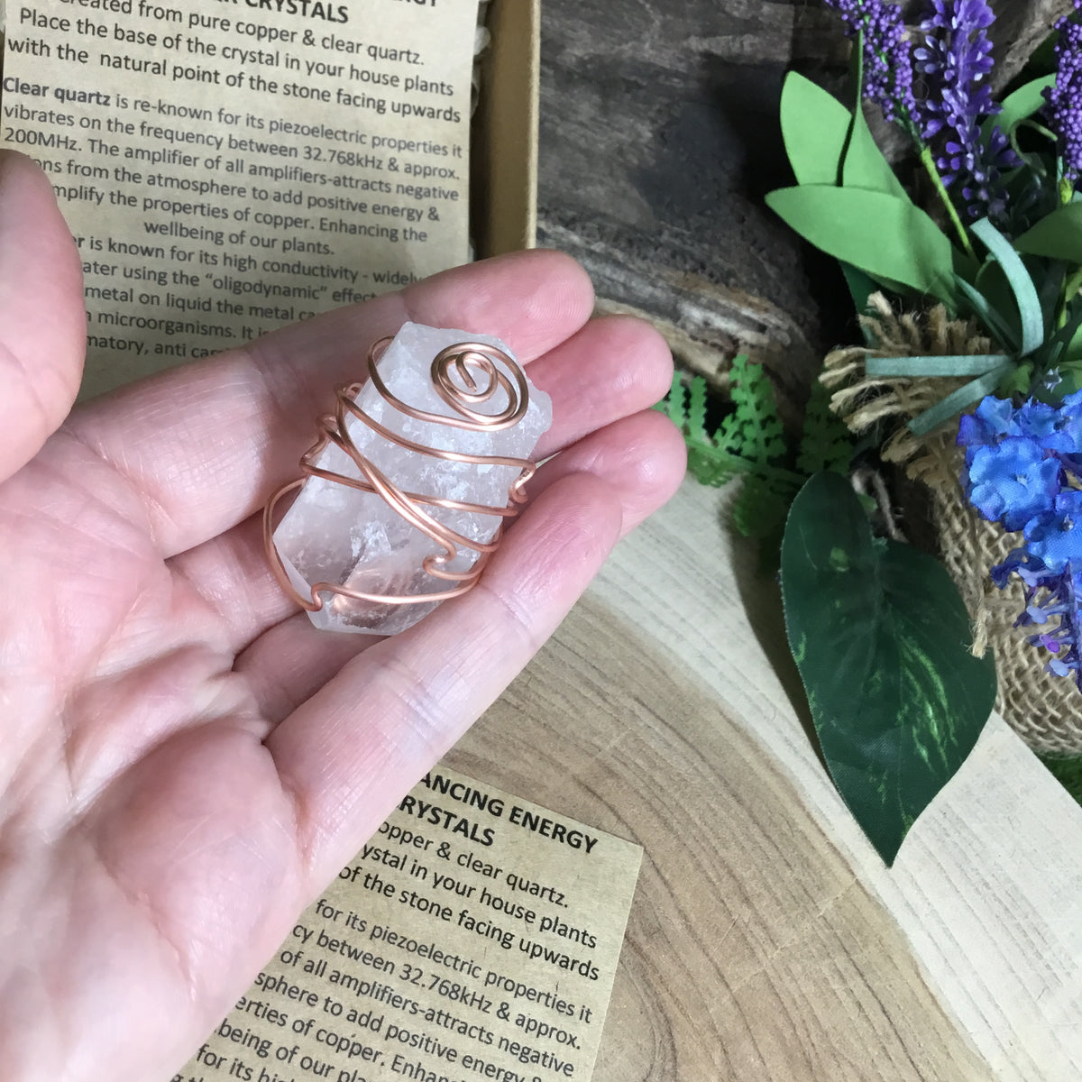 Electroculture - copper & Quartz  house plant energy enhancer