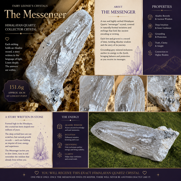 The Messenger — Himalayan Quartz Collector Crystal