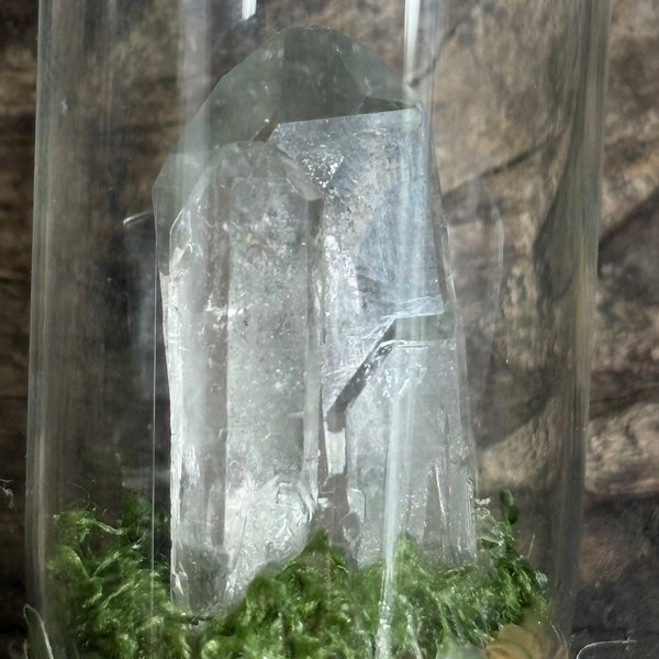 Mother & Child Devic Temple Cloche