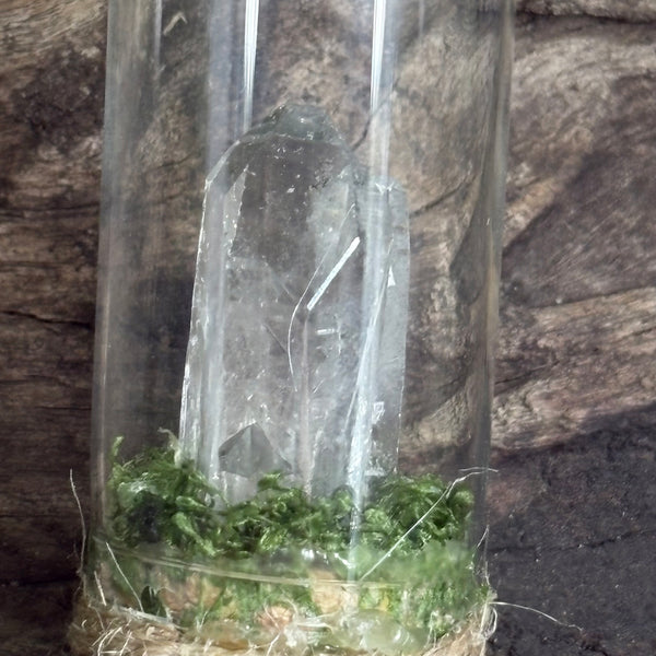 Mother & Child Devic Temple Cloche