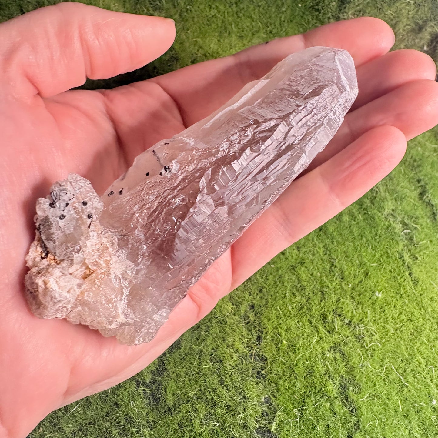 The Messenger — Himalayan Quartz Collector Crystal