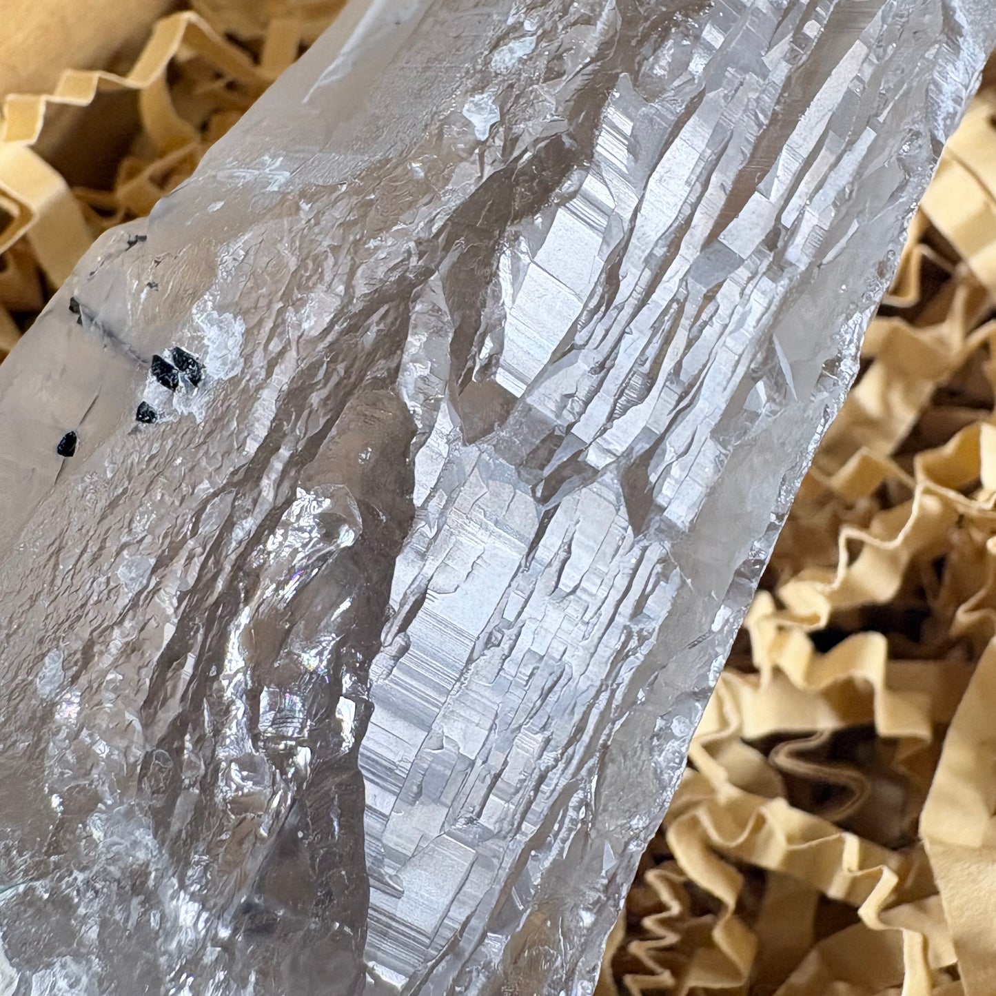 The Messenger — Himalayan Quartz Collector Crystal