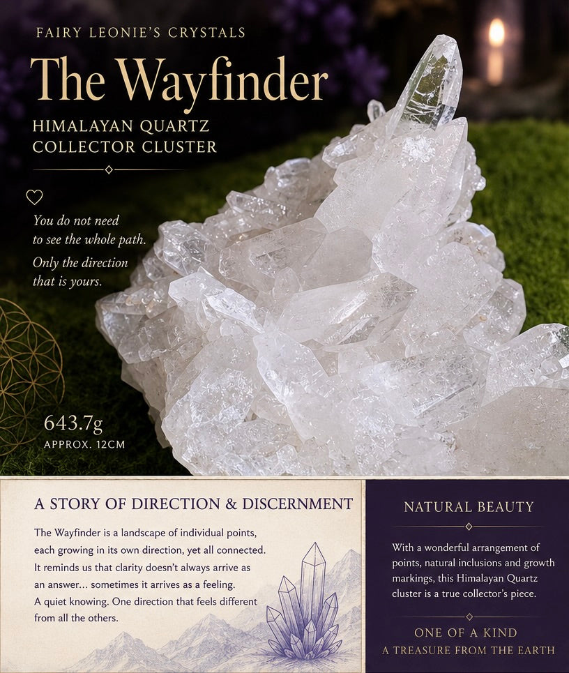 The Wayfinder | Himalayan Quartz Collector Cluster | 643.7g