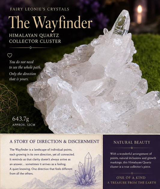 The Wayfinder | Himalayan Quartz Collector Cluster | 643.7g