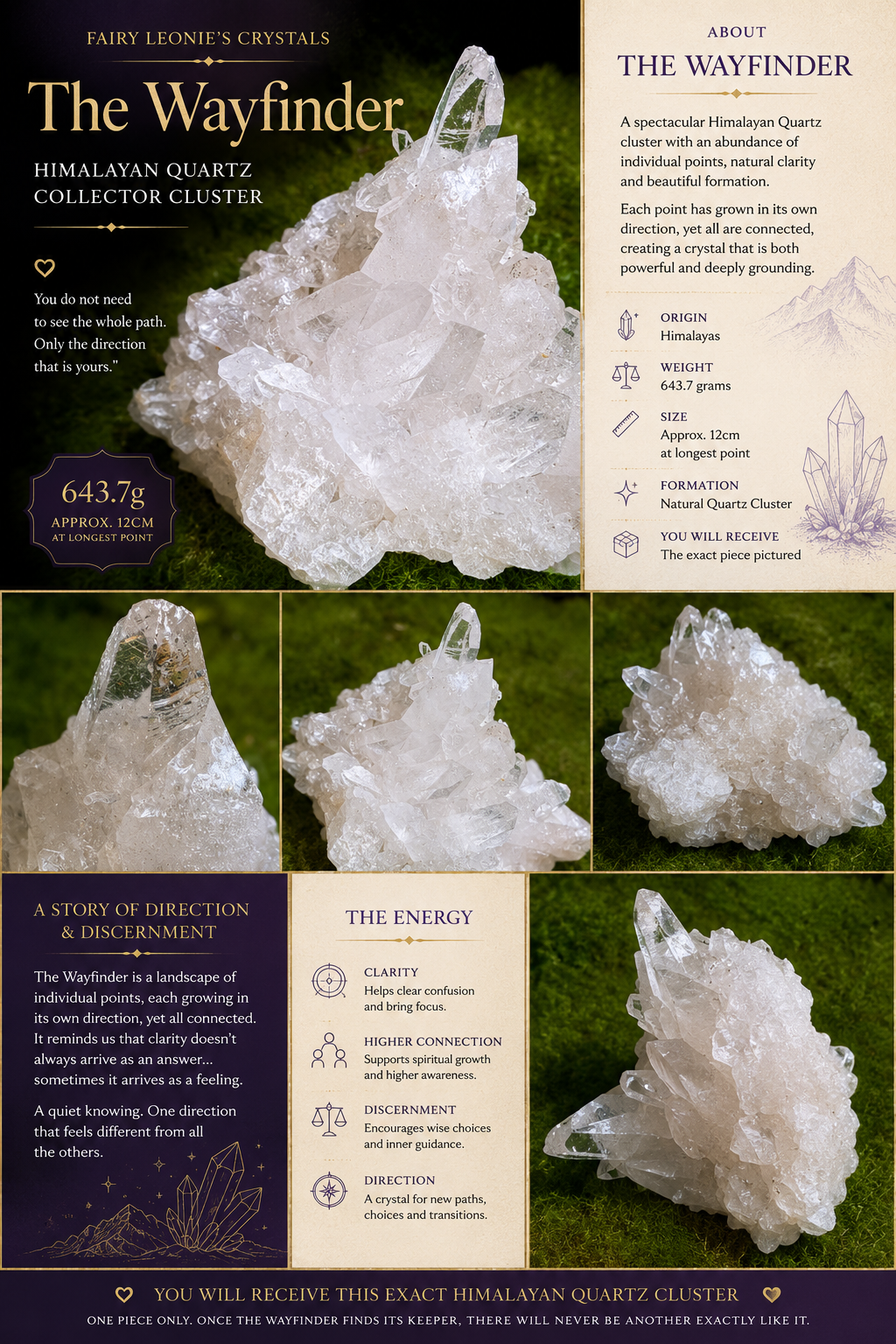 The Wayfinder | Himalayan Quartz Collector Cluster | 643.7g