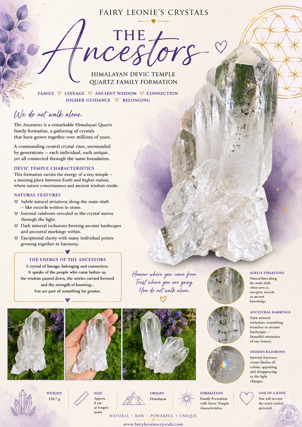 The Ancestors —Himalayan Devic Temple Quartz Family Formation