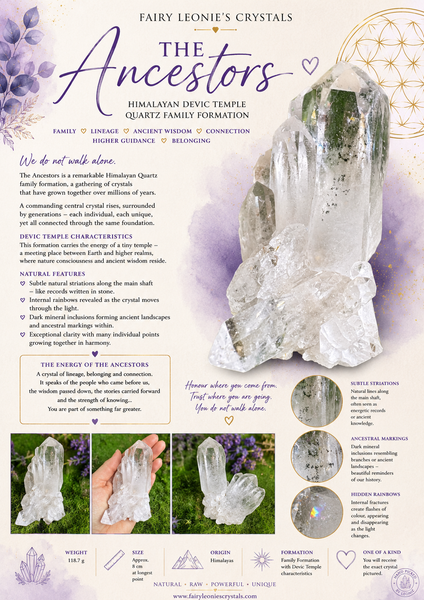 The Ancestors —Himalayan Devic Temple Quartz Family Formation