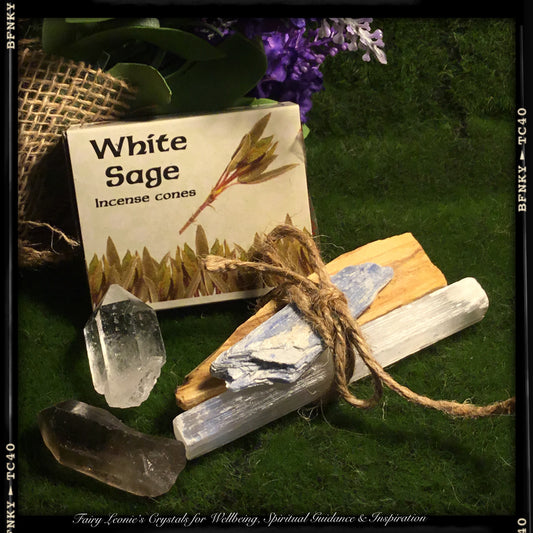 Basic Essentials for CLEANSING Deluxe Set