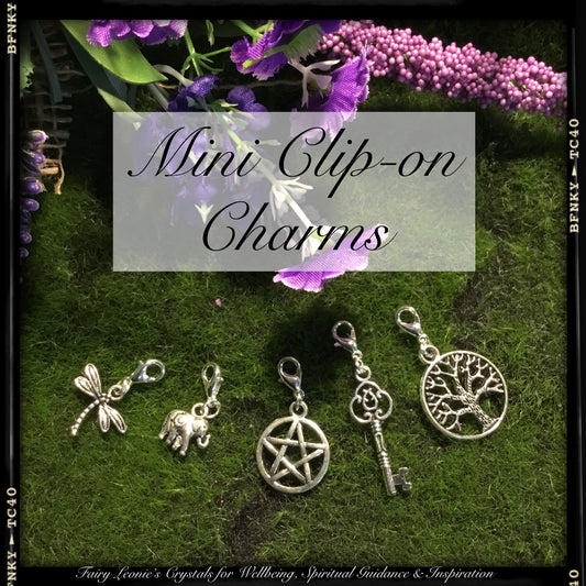 Mini Clip On Charms