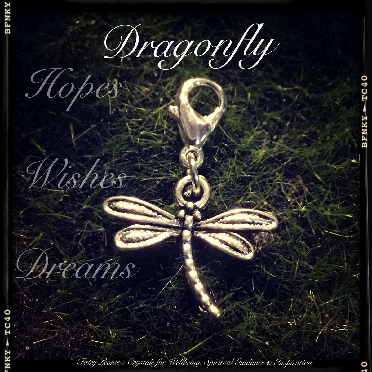 Mini Clip On Charms